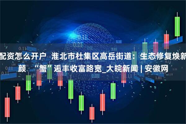 配资怎么开户  淮北市杜集区高岳街道：生态修复焕新颜   “蟹”逅丰收富路宽_大皖新闻 | 安徽网
